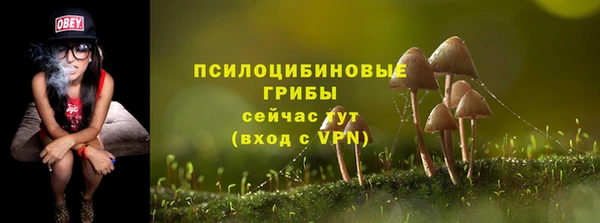 скорость Арсеньев