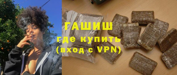 индика Долгопрудный