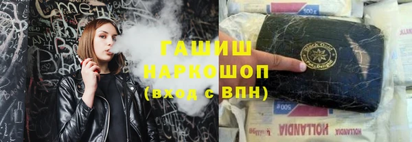 стаф Алзамай