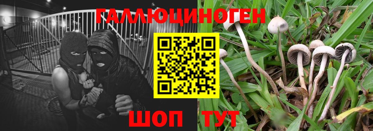Галлюциногенные грибы Magic Shrooms  купить закладку  Белая Калитва  Вход с VPN 